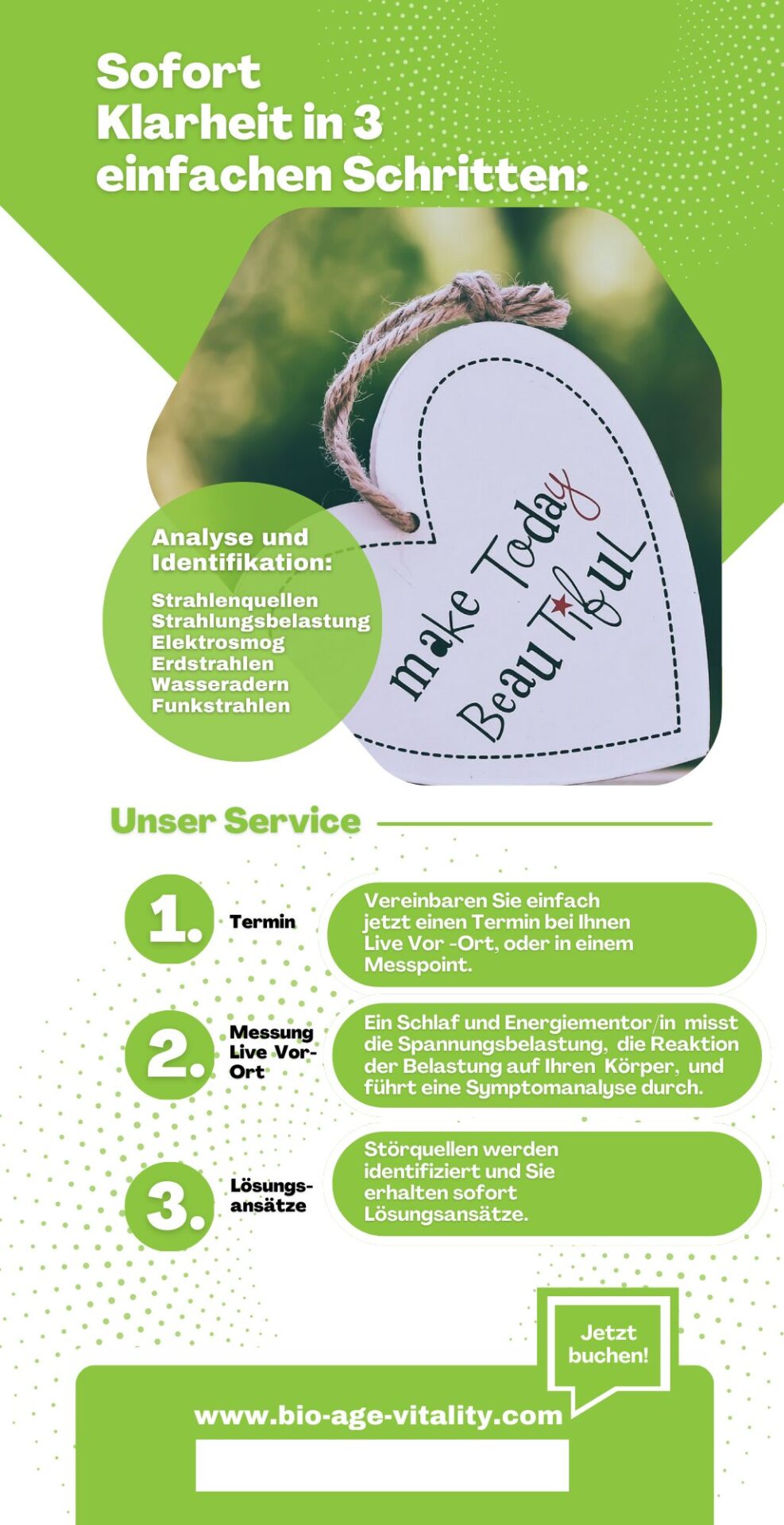 Online Silvestergala | Mentor